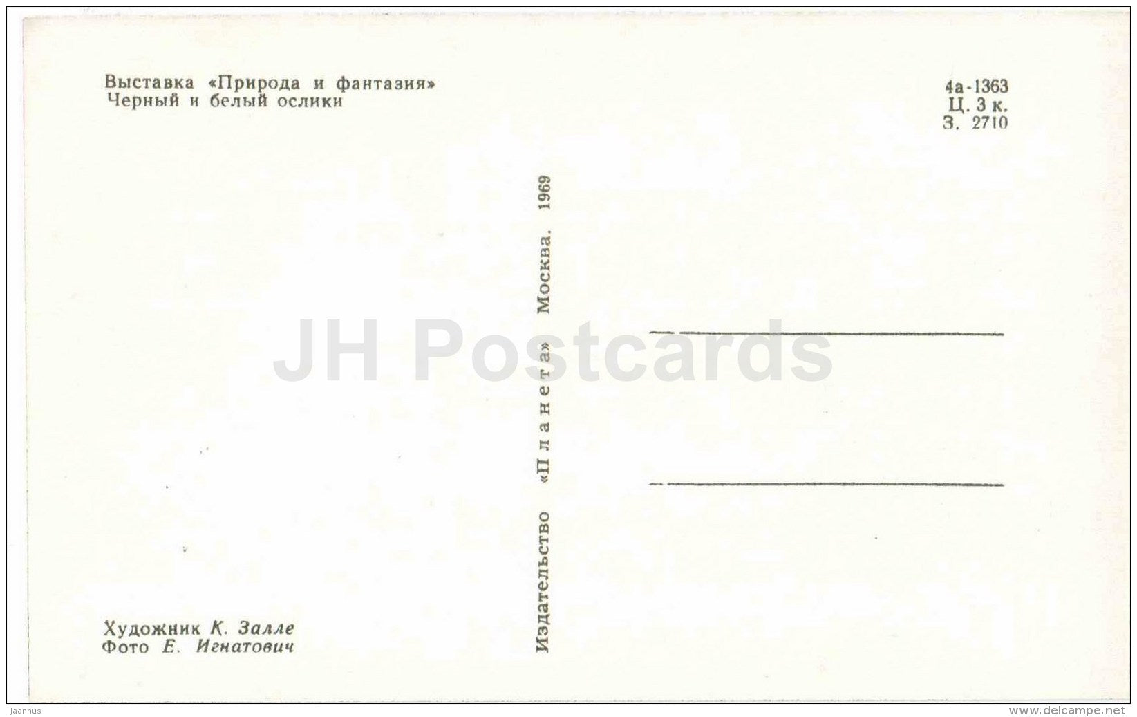 black and white donkeys - Nature and Fantasy - wooden figures - 1969 - Russia USSR - unused - JH Postcards