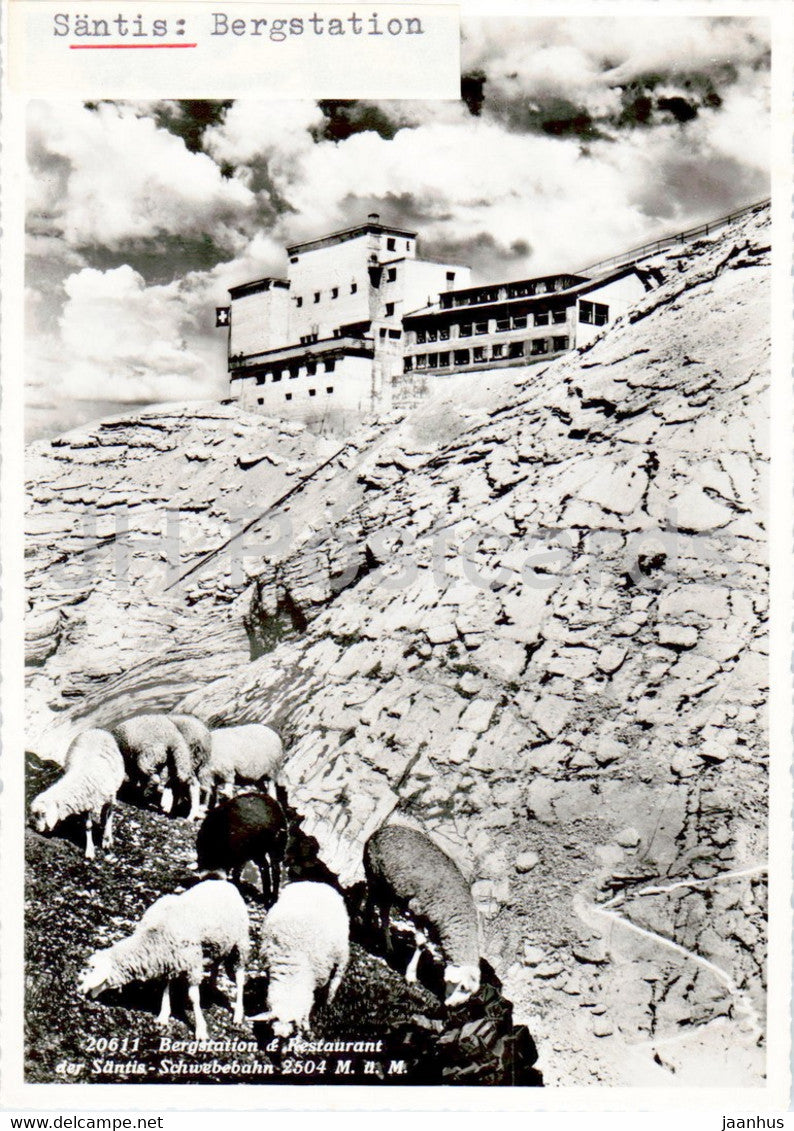 Bergstation & Restaurant der Santis Schwebebahn 2504 m - animals - sheep - 20611 - old postcard - Switzerland - unused - JH Postcards