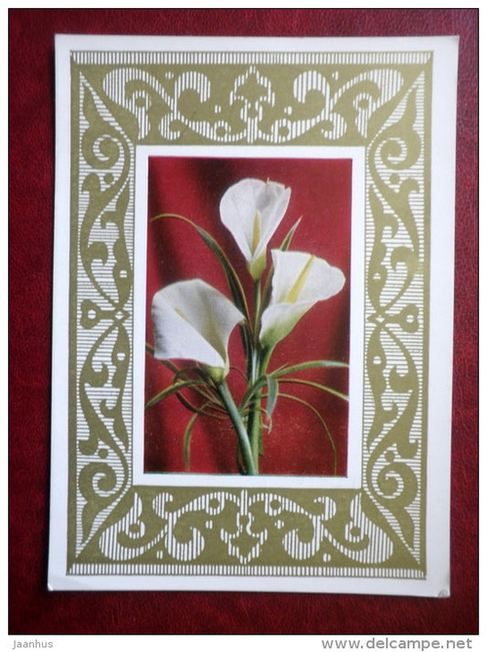 Greeting Card - calla - flowers - 1974 - Russia USSR - used - JH Postcards