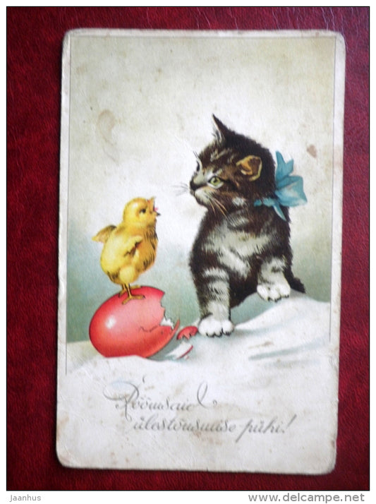 Easter Greeting Card - chicken - kitten - cat - MH - circulated in 1940 - Estonia - used - JH Postcards