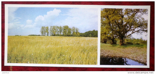 Latvian views - meadow - summer - 1980 - Latvia USSR - unused - JH Postcards