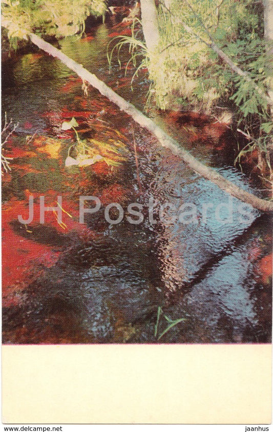 Landscape - source - White Sea Region - 1974 - Russia USSR - unused - JH Postcards