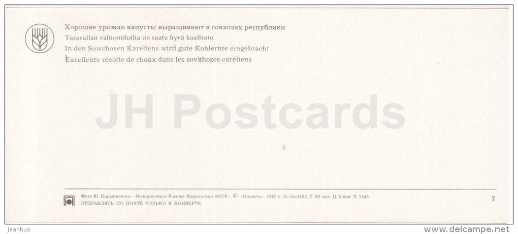 harvest of cabbage - Karelia - Karjala - 1985 - Russia USSR - unused - JH Postcards