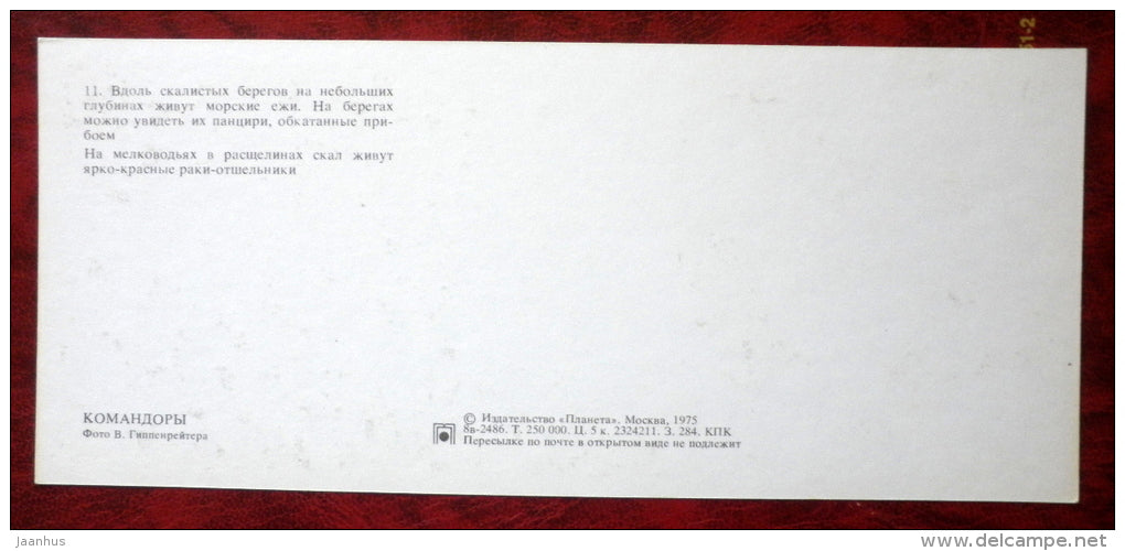 sea urchin - hermit crabs - Komandorski Commander islands - 1975 - Russia USSR - unused - JH Postcards