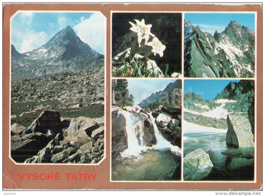 Vysoka mountain - edelweiss - flowers - Zlomiskova valley - High Tatras - Czechoslovakia - Slovakia - used 1980 - JH Postcards