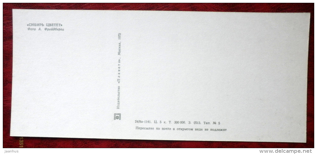 trees _12 - Siberia blooms - 1973 - Russia USSR - unused - JH Postcards