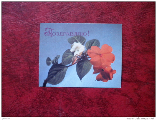 Birthday greeting card - flowers - mini-card - 1988 - Russia - USSR - unused - JH Postcards