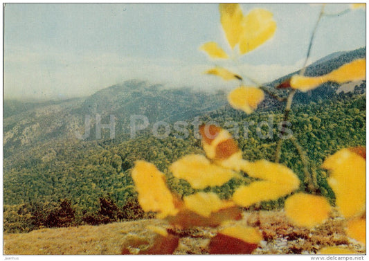 In the Crimean Game-Preserve - Crimea - 1970 - Ukraine USSR - unused - JH Postcards