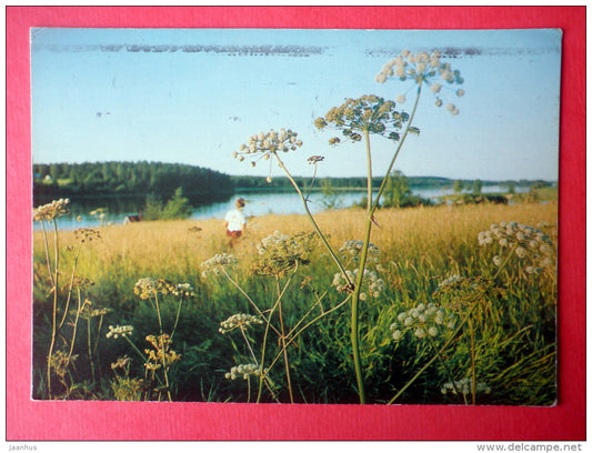 landscape view - lake - 1367-6 - Finland - sent from Finland Turku to Estonia USSR 1977 - JH Postcards