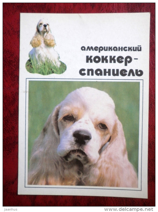 American Cocker Spaniel - dogs - 1991 - Russia - USSR - unused - JH Postcards
