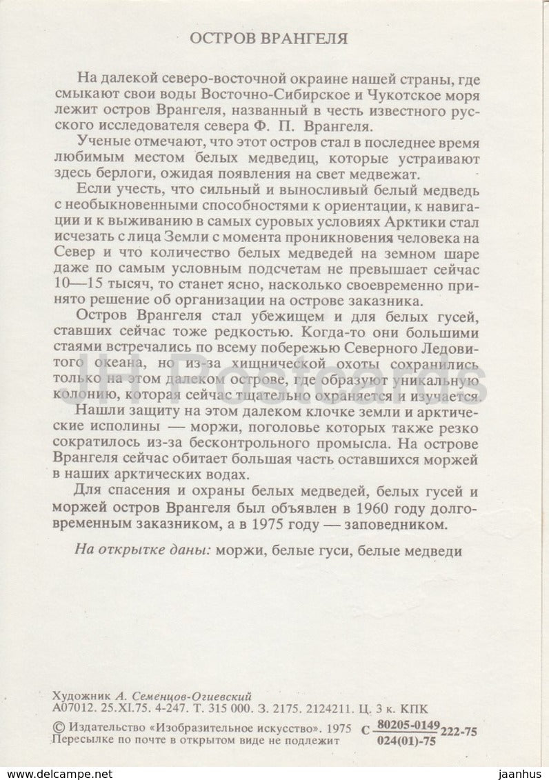 Walross - Eisbär - Wrangel Island - 1975 - Russland UdSSR - unbenutzt