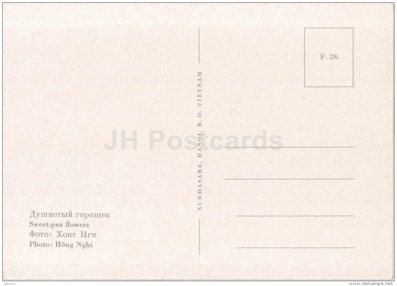 Sweet-pea flowers - flowers - Vietnam - unused - JH Postcards