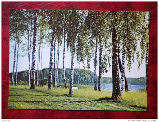 Lake Ähijärv - Estonian lakes - birch trees - 1979 - Estonia - USSR - unused - JH Postcards