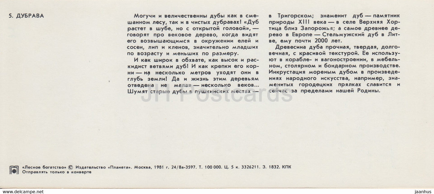 Oak Grove - Forest Wealth - 1981 - Russia USSR - unused