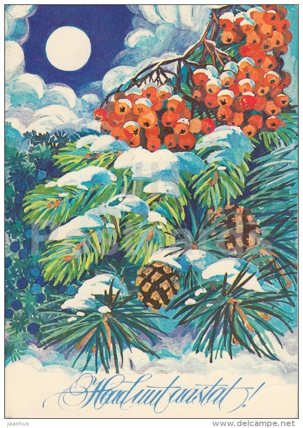 New Year Greeting card by M. Peil - 1 - rowan berries, juniper berries - 1978 - Estonia USSR - unused - JH Postcards
