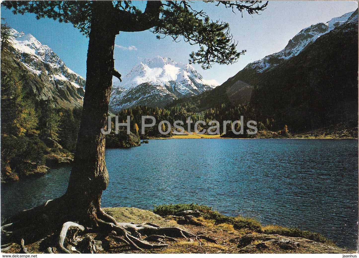Cavloce See mit Piz dei Rossi - 1974 - Switzerland - used - JH Postcards