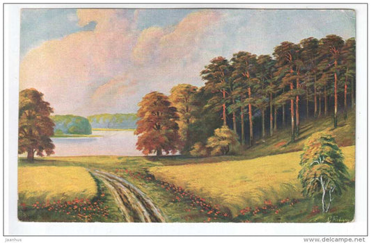 illustration by Fiebiger - forest , road , lake - Amag 425 - old postcard - unused - JH Postcards