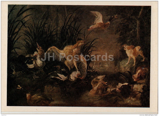 painting by Jan Weenix - Bird Trouble - dog - duck - birds - Dutch art - 1974 - Russia USSR - unused - JH Postcards