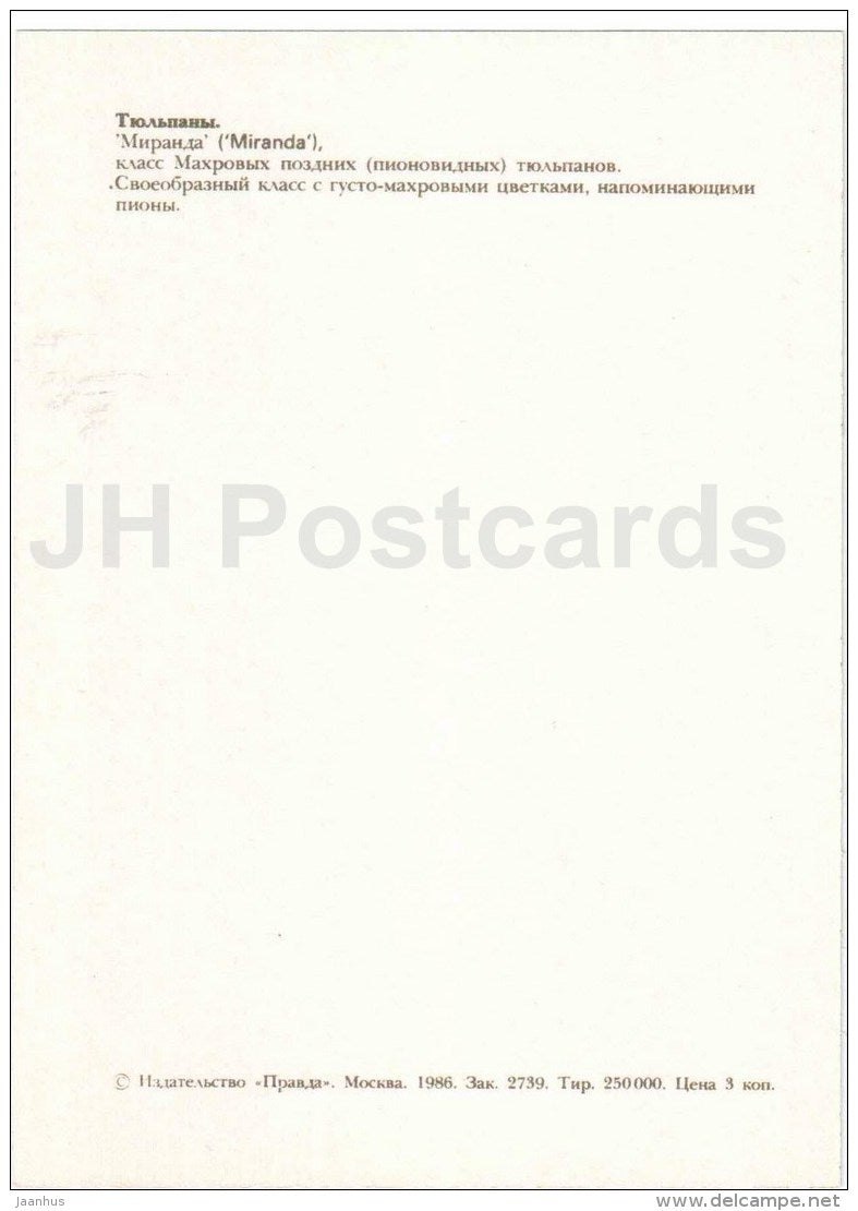Miranda - Tulip - 1986 - Russia USSR - unused - JH Postcards