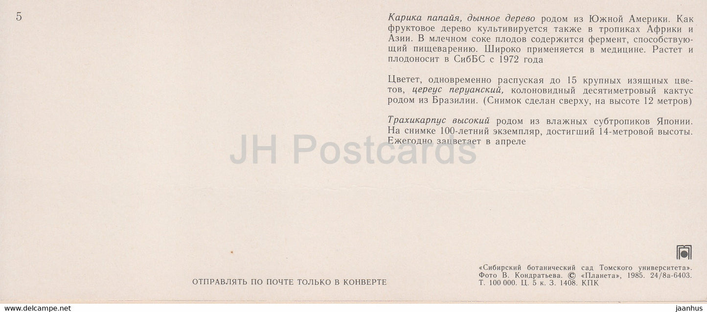 Papaya - Peruvian apple cactus - Chinese windmill palm - Siberian Botanical Garden - 1985 - Russia USSR - unused