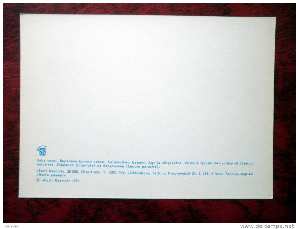 Estonian Nature - bog in summer, golden eagle - birds - USSR - 1977 - unused - JH Postcards