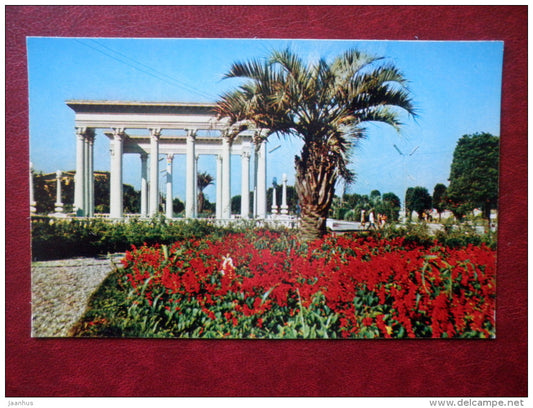 Primorsky Park - palm - Batumi - Adjara - Black Sea Coast - 1974 - Georgia USSR - unused - JH Postcards