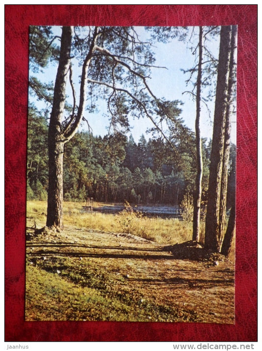 Lake Vaikne at Elva - Estonian lakes - pine trees - 1979 - Estonia - USSR - unused - JH Postcards