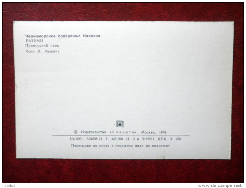 Primorsky Park - palm - Batumi - Adjara - Black Sea Coast - 1974 - Georgia USSR - unused - JH Postcards