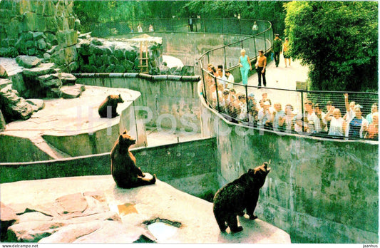 Kaliningrad - Konigsberg - In the Zoo - animals - bear - 1975 - Russia USSR - unused - JH Postcards