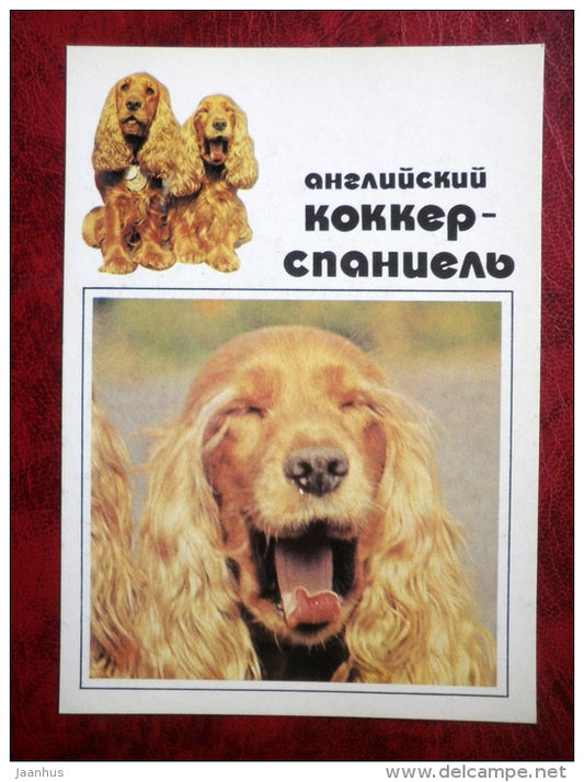 English Cocker Spaniel - dogs - 1991 - Russia - USSR - unused - JH Postcards