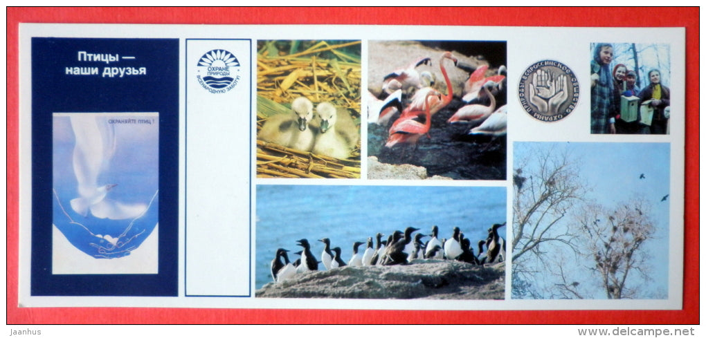 protection of birds - flamingo - duck - Nature Conservation - 1984 - USSR Russia - unused - JH Postcards