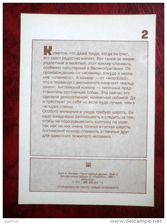 English Cocker Spaniel - dogs - 1991 - Russia - USSR - unused - JH Postcards