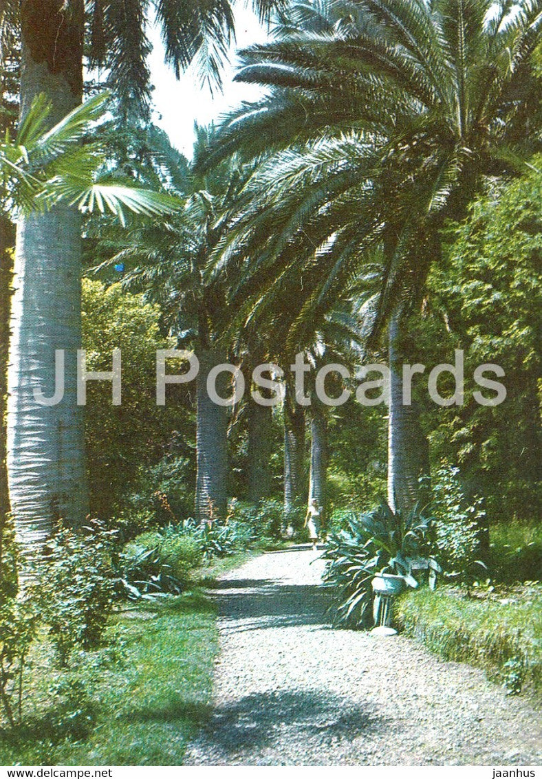 Sukhumi - Sokhumi - Dendro park - AVIA - postal stationery - 1981 - Georgia USSR - unused - JH Postcards