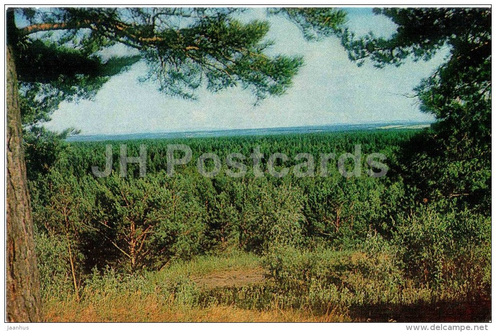Crane hill - Shushenskoye - 1983 - Russia USSR - unused - JH Postcards