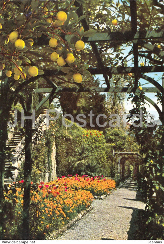 Lago di Como - Villa Carlotta - Lemoniaera - Lemon trees - Italy - Italia - unused - JH Postcards
