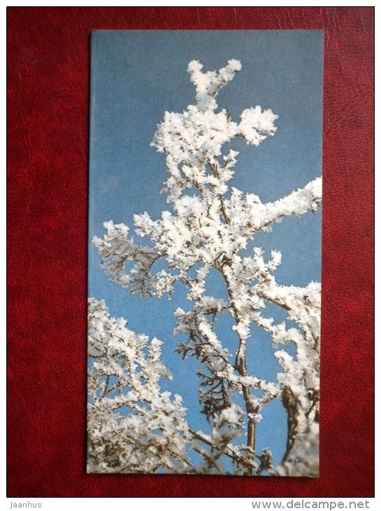 New Year mini Greeting card - winter tree - 1986 - Estonia USSR - unused - JH Postcards