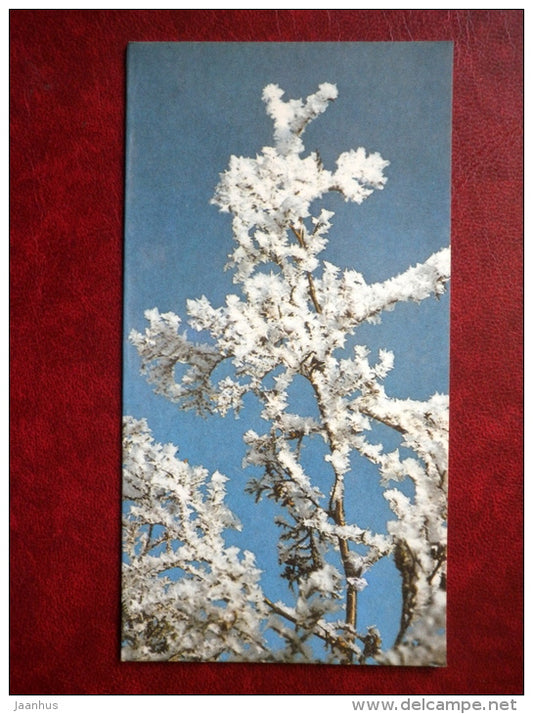 New Year mini Greeting card - winter tree - 1986 - Estonia USSR - unused - JH Postcards