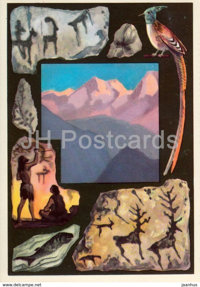 prehistoric rock paintings - Indian paradise flycatcher - Aksu-Zhabagly Nature Reserve - 1975 - Russia USSR - unused - JH Postcards