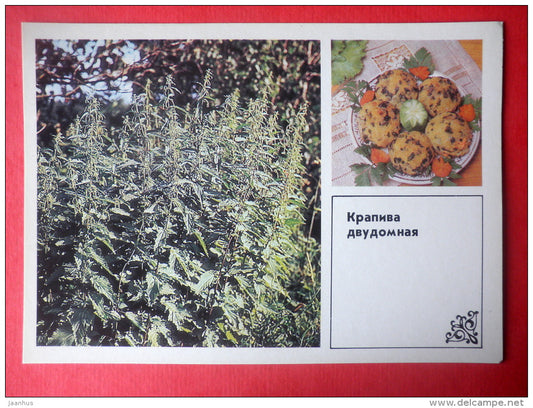 Common Nettle , Urtica dioica - nettle meatballs - Dishes of Wild Herbs - 1985 - Russia USSR - unused - JH Postcards