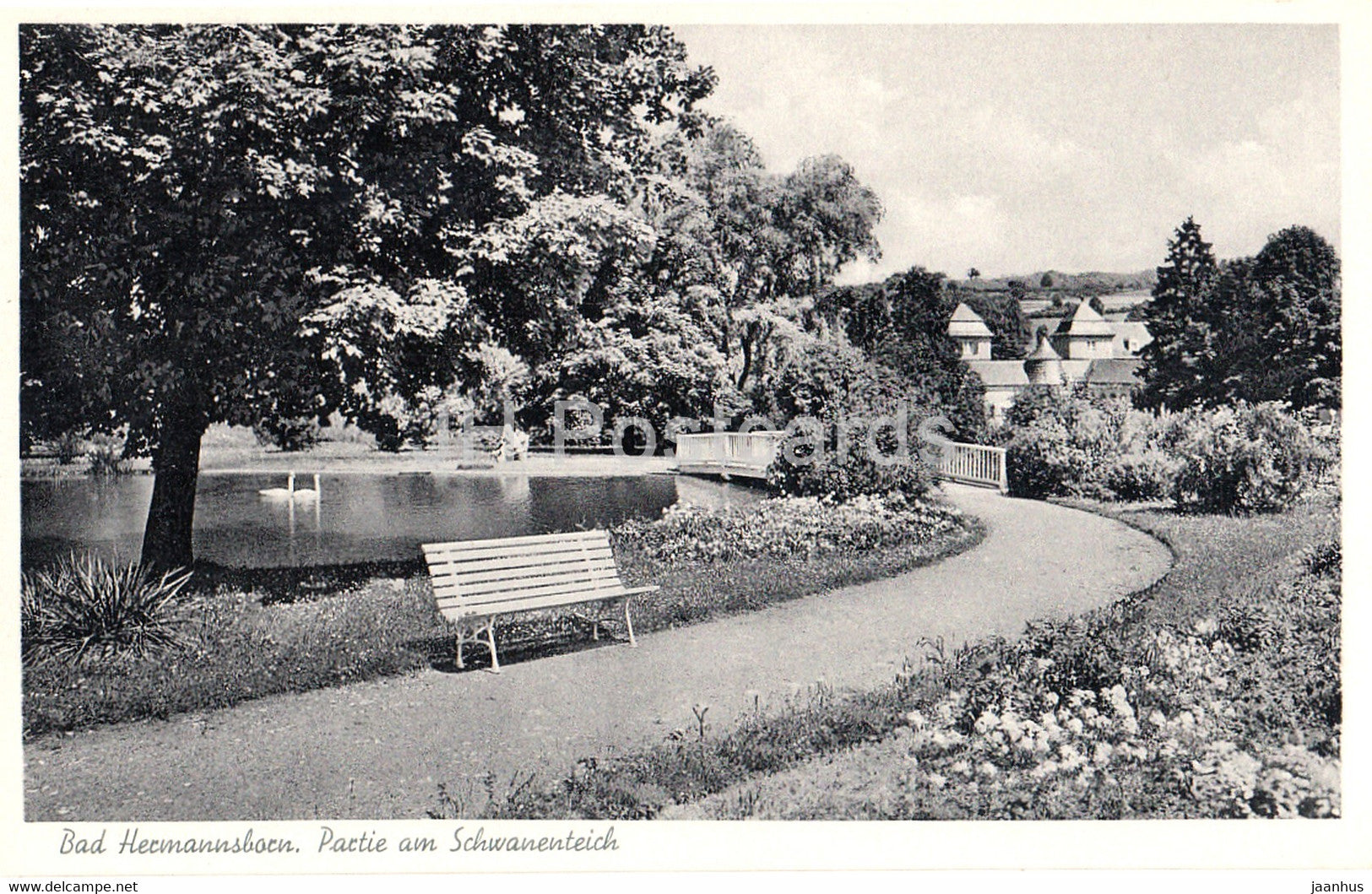 Bad Hermannsborn - Partie am Schwanenteich - old postcard - 1957 - Germany - unused - JH Postcards