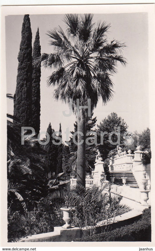 Sochi - Dendrarium - Corner in the Park - palm trees - 1959 - Russia USSR - unused - JH Postcards