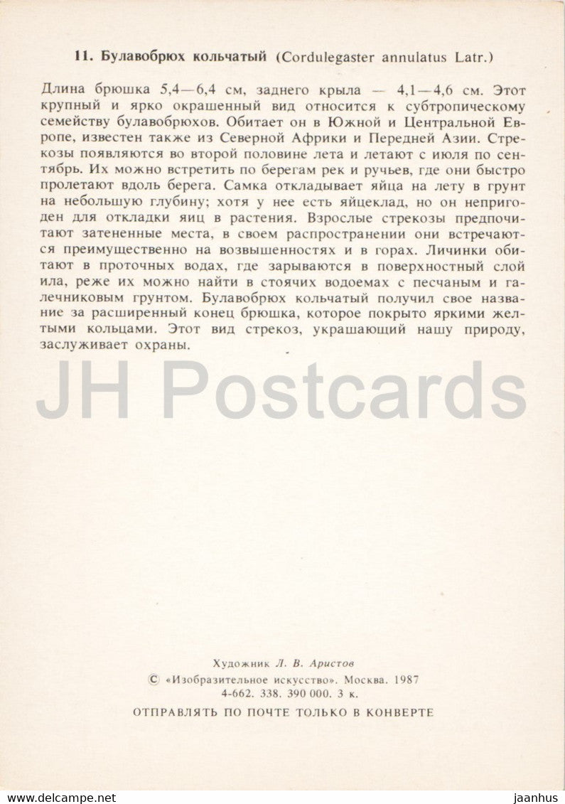 Cordulegaster annulatus - Goldringlibelle - Libelle - Insekten - Illustration - 1987 - Russland UdSSR - unbenutzt