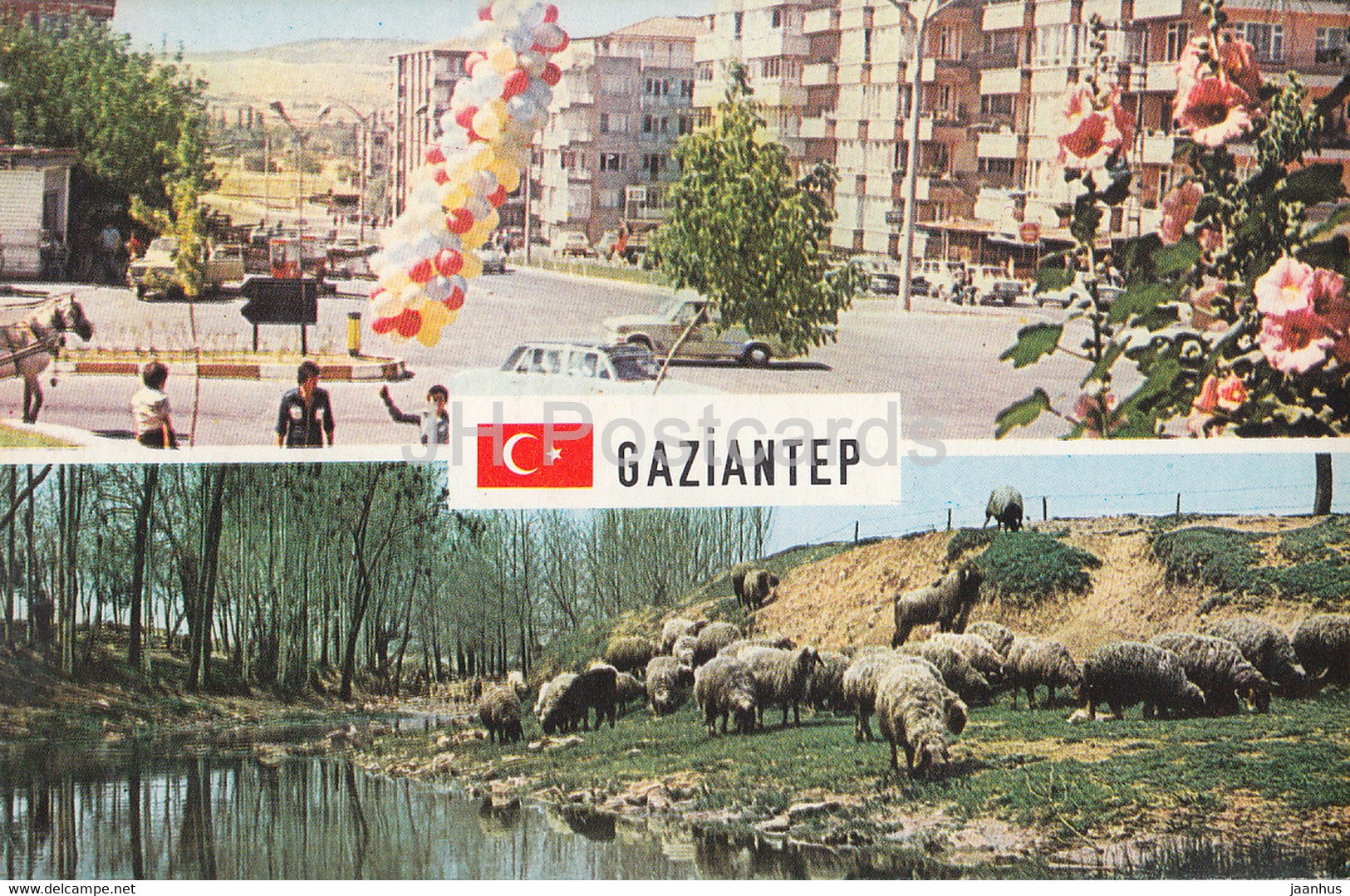 Gaziantep - street view - sheep - 1987 - Turkey - used - JH Postcards