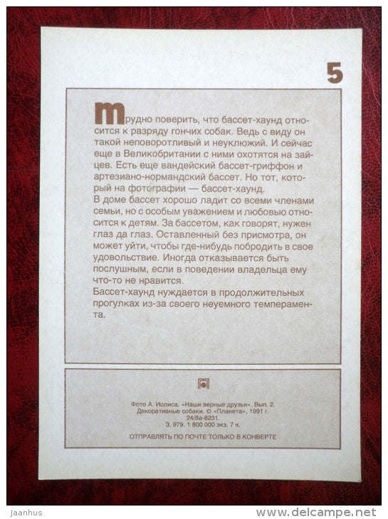 Basset Hound - dogs - 1991 - Russia - USSR - unused - JH Postcards