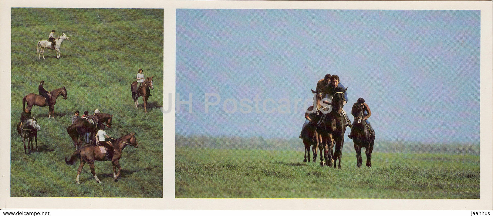 Training of sport horses - horse breeds - 1988 - Russia USSR - unused - JH Postcards
