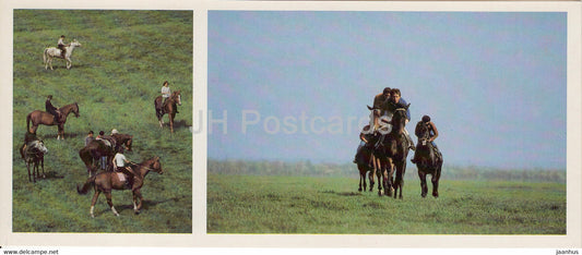 Training of sport horses - horse breeds - 1988 - Russia USSR - unused - JH Postcards