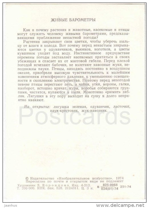 beetle - spider Araneus - swallow - dandelion - frog - Living Barometers - 1974 - Russia USSR - unused - JH Postcards