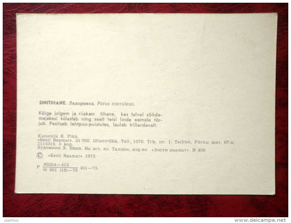 Blue Tit - Parus caeruleus - birds - 1975 - Estonia - USSR - unused - JH Postcards