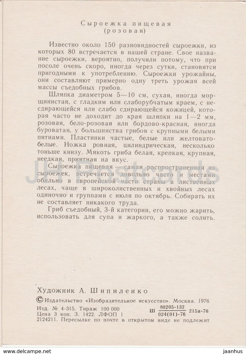 Bare-toothed Russula - Russula vesca - illustration by A. Shipilenko - Mushrooms - 1976 - Russia USSR - unused - JH Postcards
