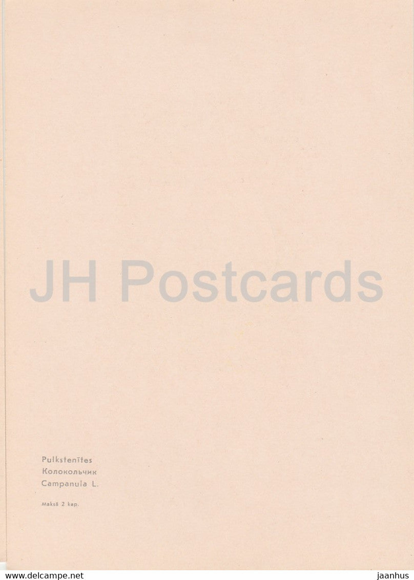 Bellflower - Campanula - plants - flowers - Latvia USSR - unused
